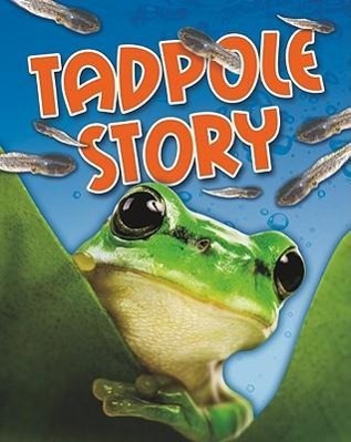 Vorderes Coverbild Tadpole Story