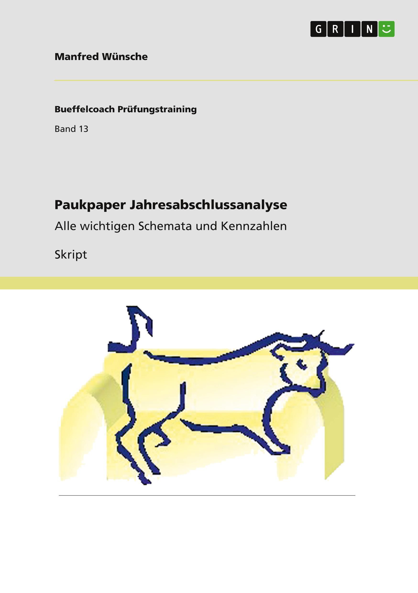 Vorderes Coverbild Paukpaper Jahresabschlussanalyse