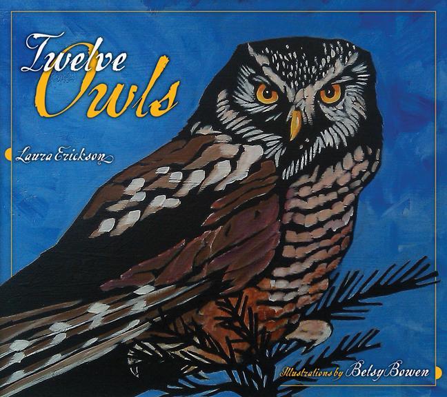 Vorderes Coverbild Twelve Owls