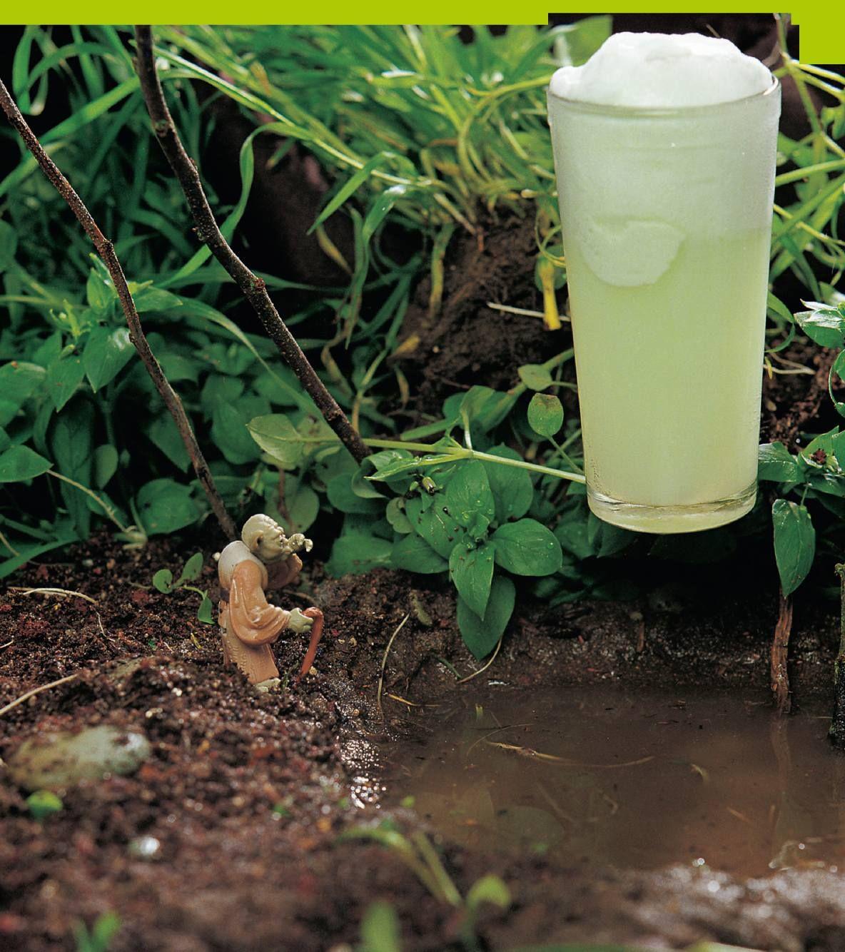 Beispielinhalt (Bild) Das STAR WARS Kochbuch