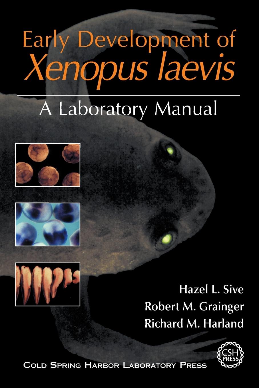 Vorderes Coverbild Early Development of Xenopus Laevis