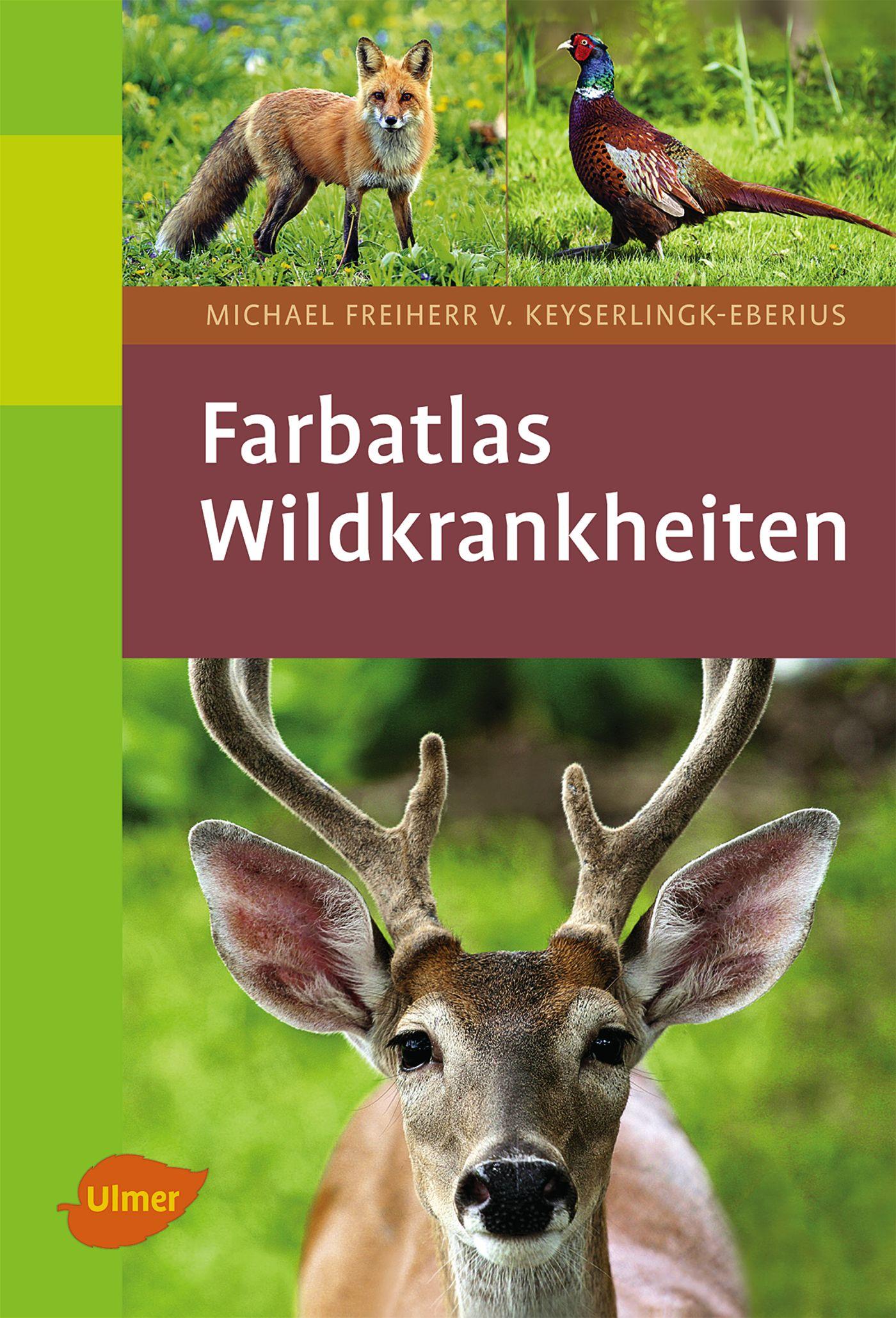 Vorderes Coverbild Farbatlas Wildkrankheiten