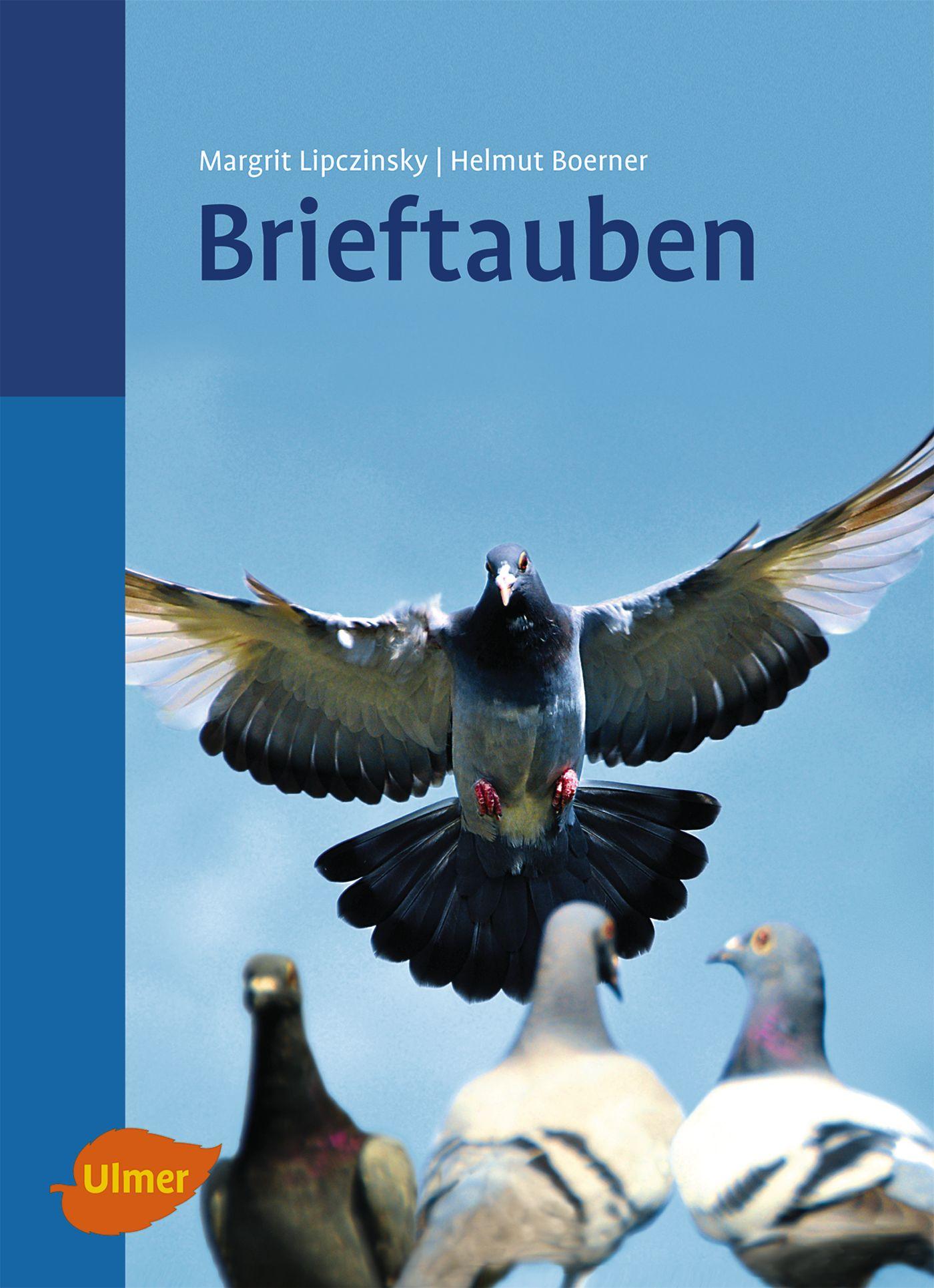 Vorderes Coverbild Brieftauben