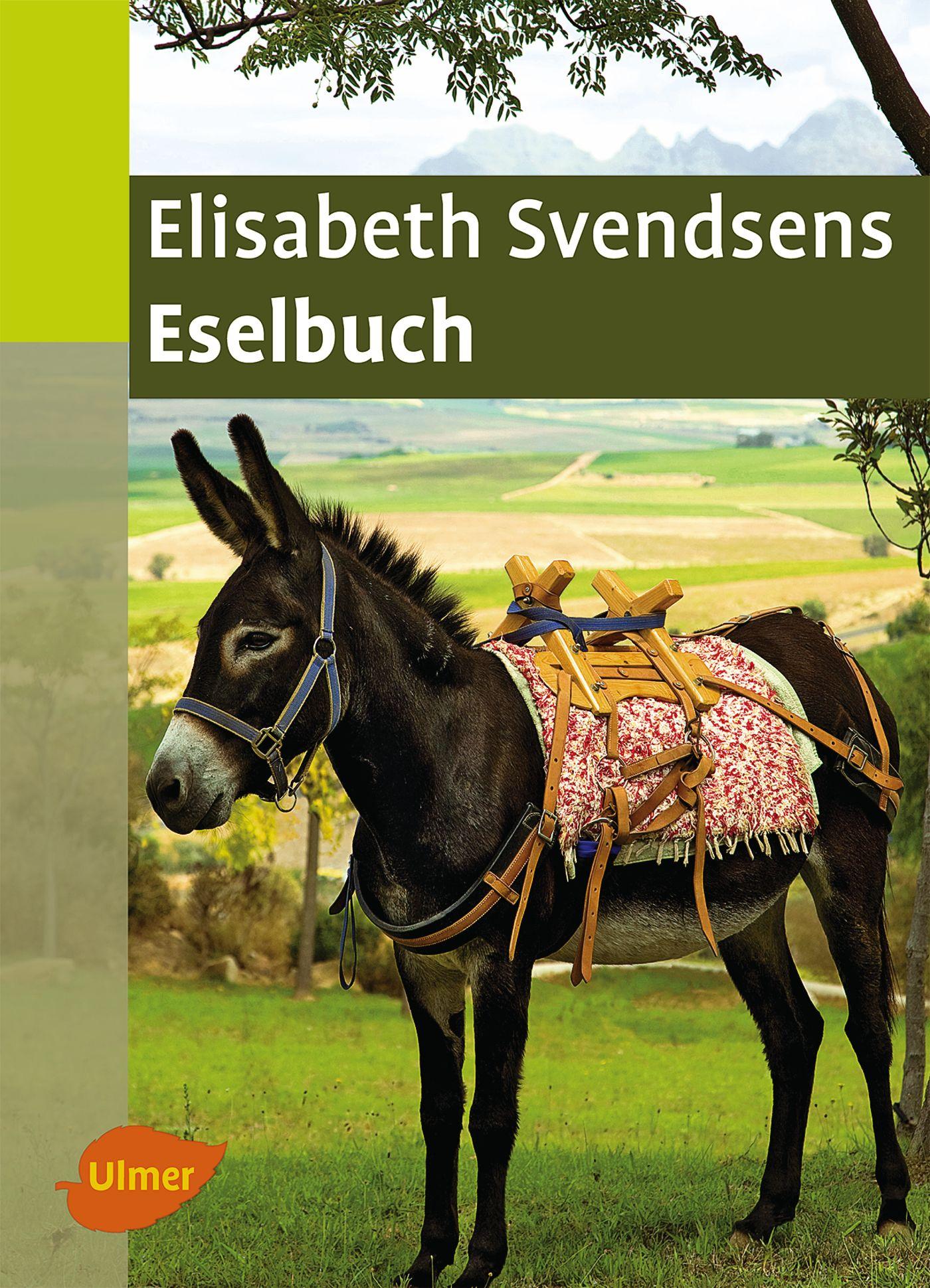 Vorderes Coverbild Elisabeth Svendsens Eselbuch