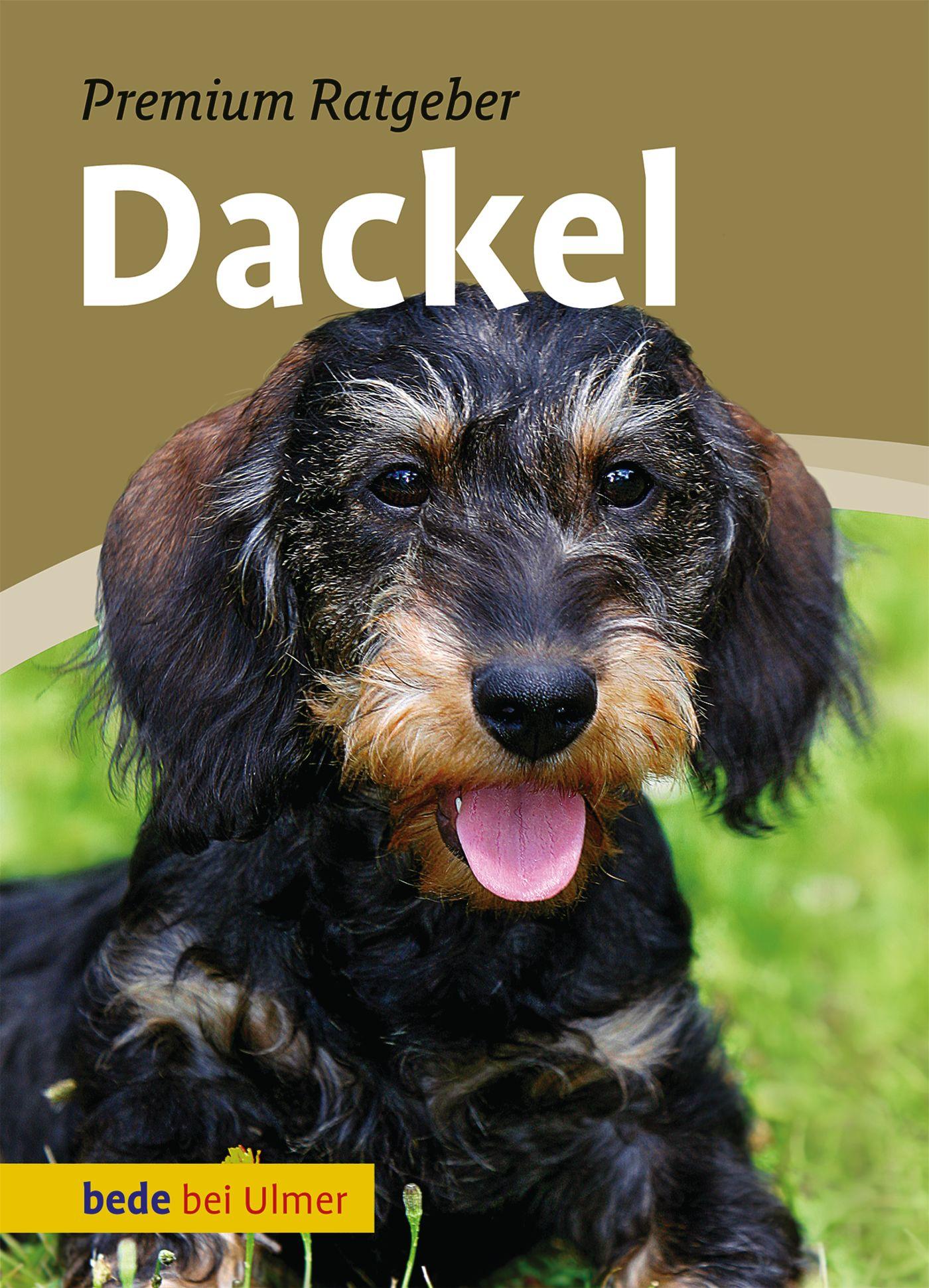 Vorderes Coverbild Dackel
