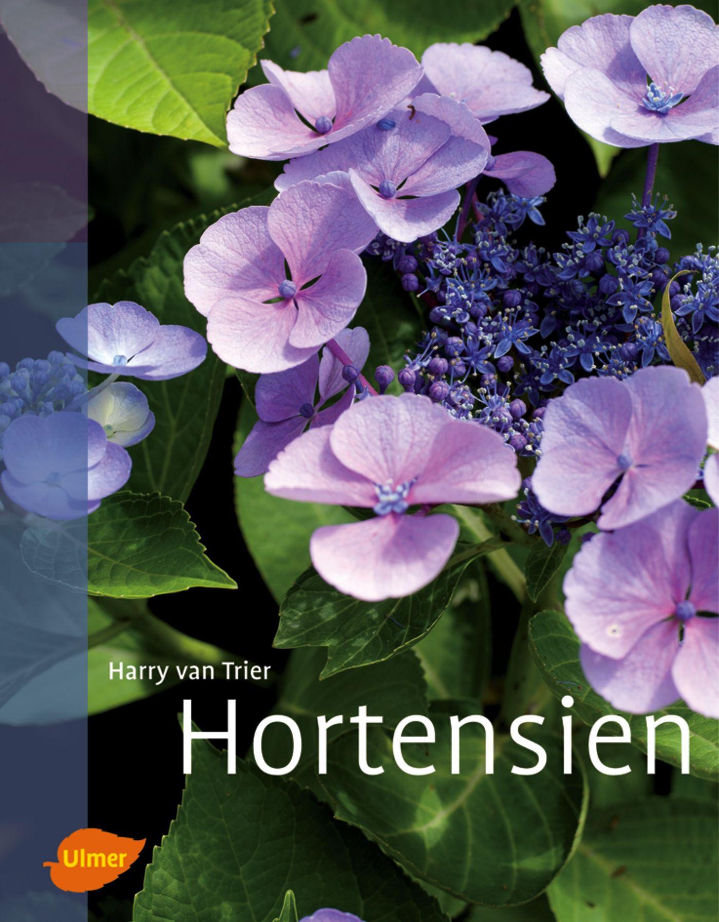 Vorderes Coverbild Hortensien