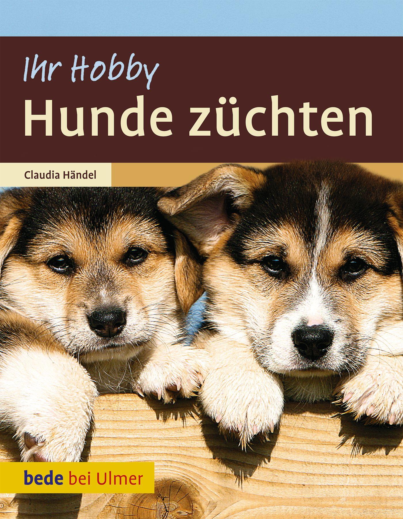 Vorderes Coverbild Hunde züchten