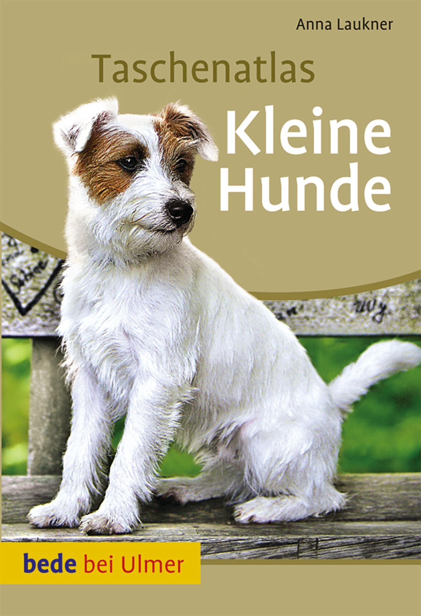 Vorderes Coverbild Taschenatlas Kleine Hunde