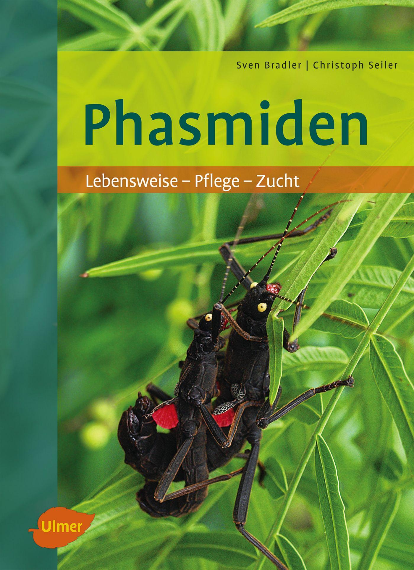 Vorderes Coverbild Phasmiden