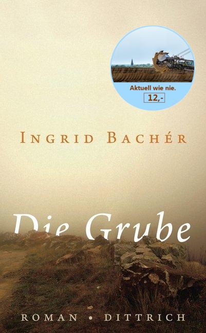 Vorderes Coverbild Die Grube