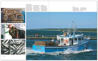 Beispielinhalt (Bild) Reise durch Kanada