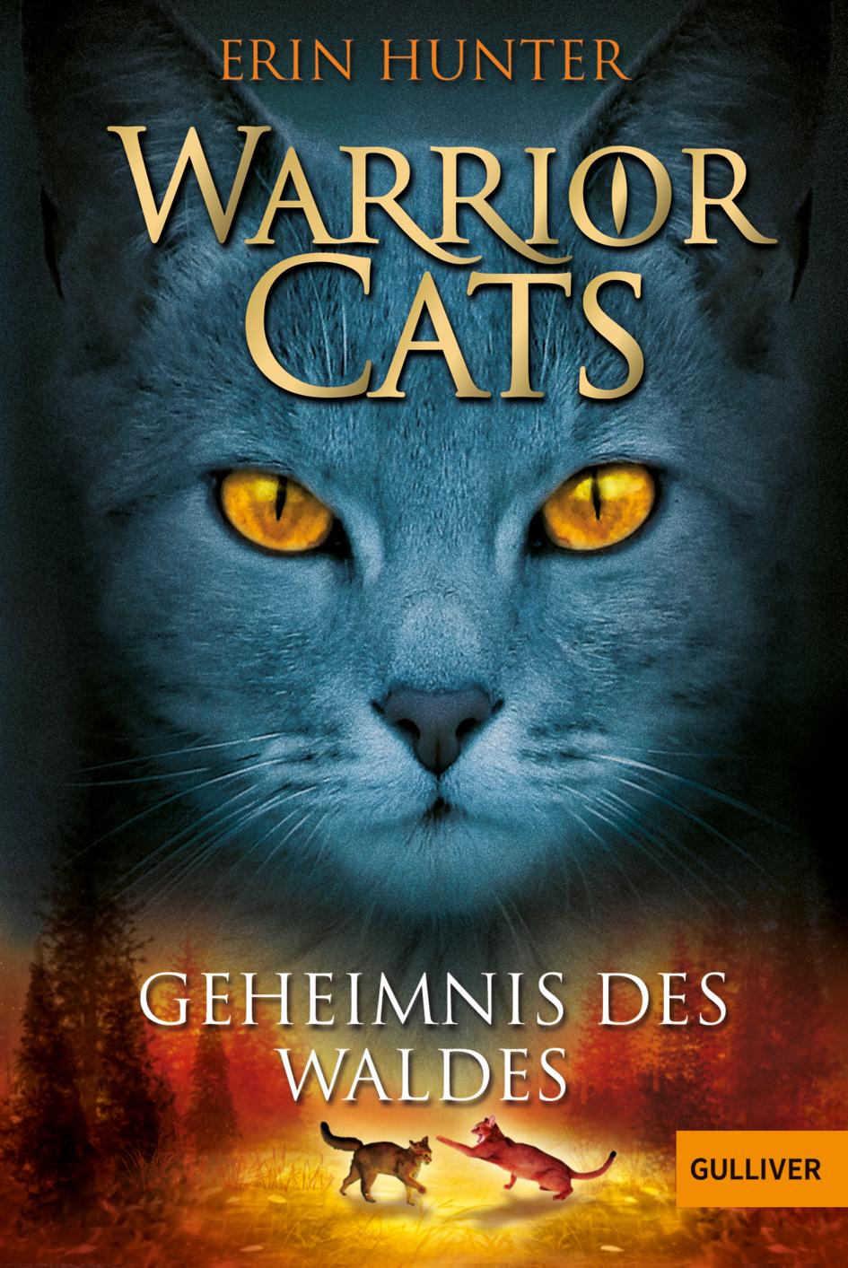 Vorderes Coverbild Warrior Cats Staffel 1/03. Geheimnis des Waldes