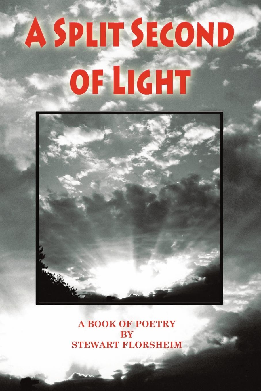 Vorderes Coverbild A SPLIT SECOND OF LIGHT