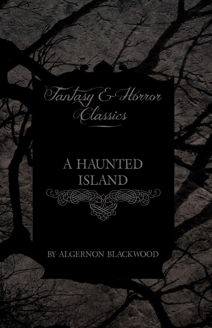 Vorderes Coverbild A Haunted Island (Fantasy and Horror Classics)