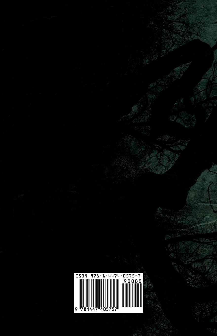 Rückseitencover The Egyptian Lure (Fantasy and Horror Classics)