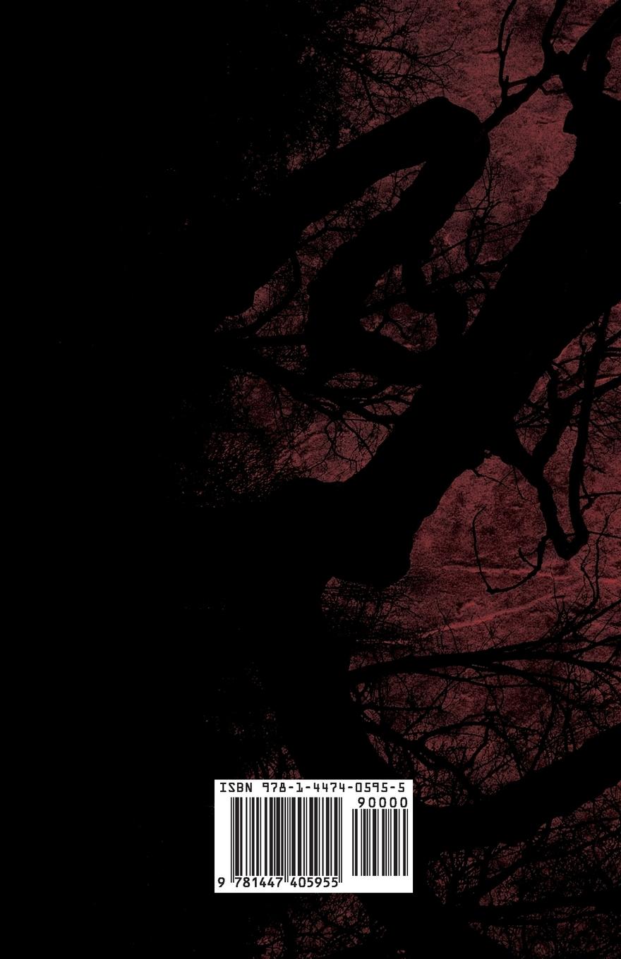 Rückseitencover Madame Helena Blavatsky - Two Short Stories by One of the Greats of Occult Writing (Fantasy and Horror Classics)