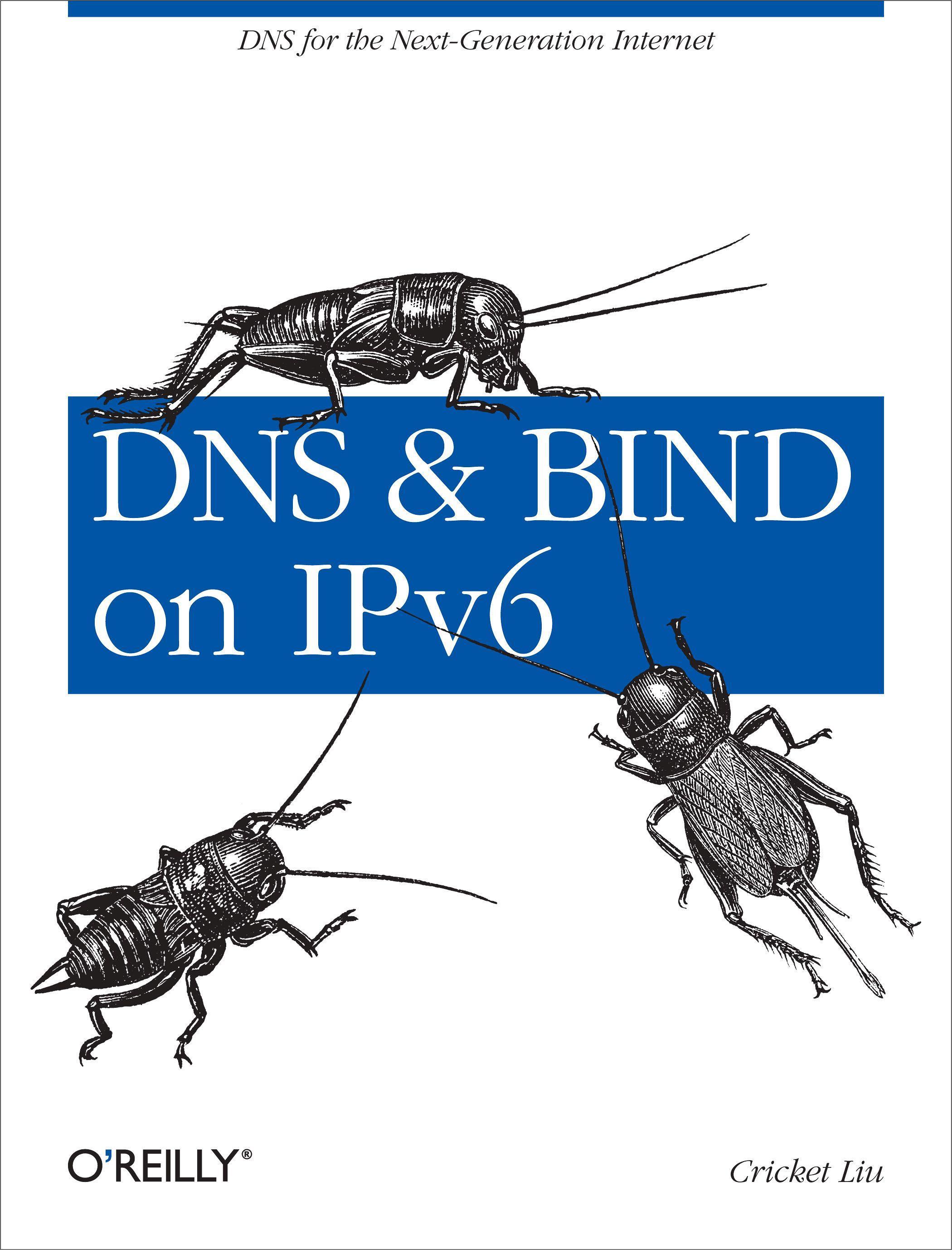 Vorderes Coverbild DNS and Bind on Ipv6