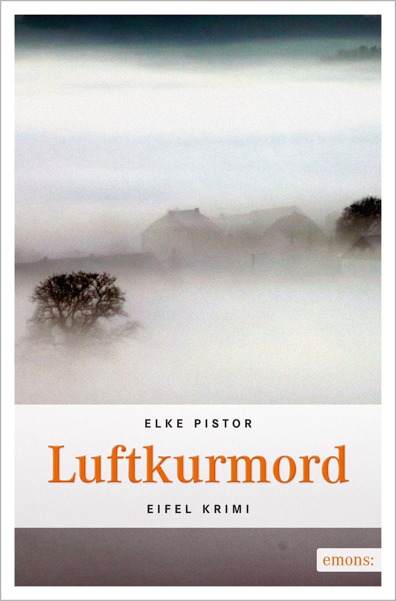Vorderes Coverbild Luftkurmord