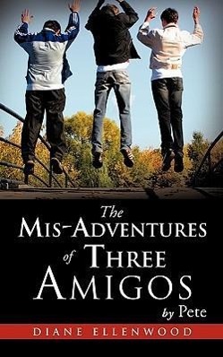 Vorderes Coverbild The MIS-Adventures of Three Amigos