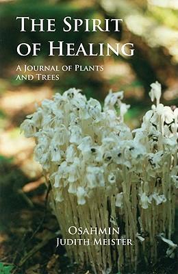 Vorderes Coverbild The Spirit of Healing