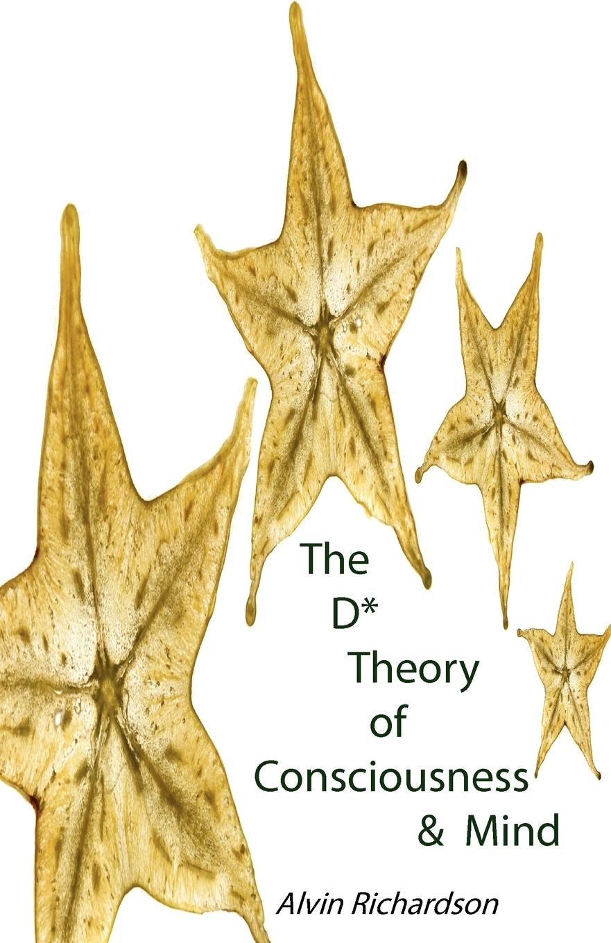Vorderes Coverbild The D* Theory of Consciousness & Mind