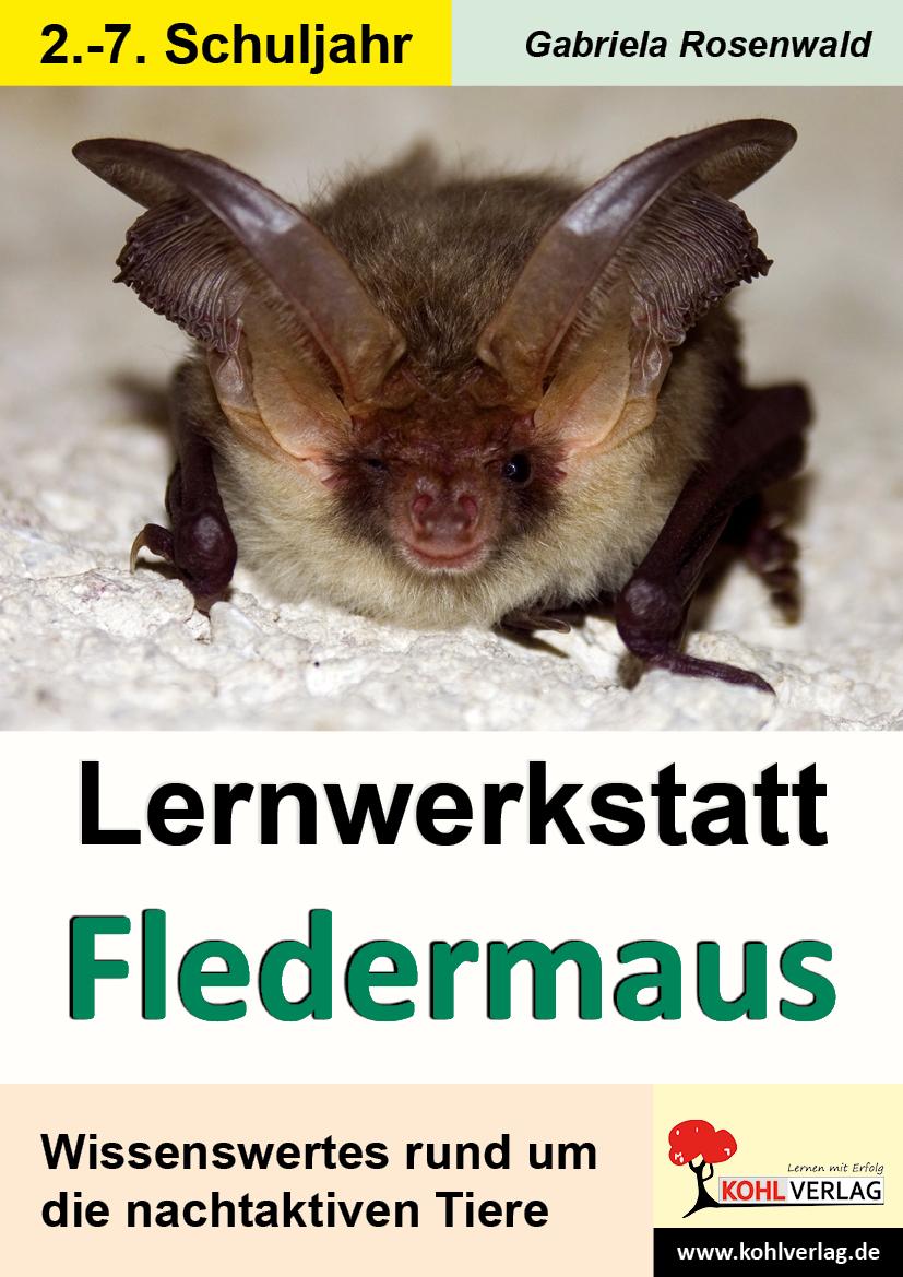 Vorderes Coverbild Lernwerkstatt Die Fledermaus