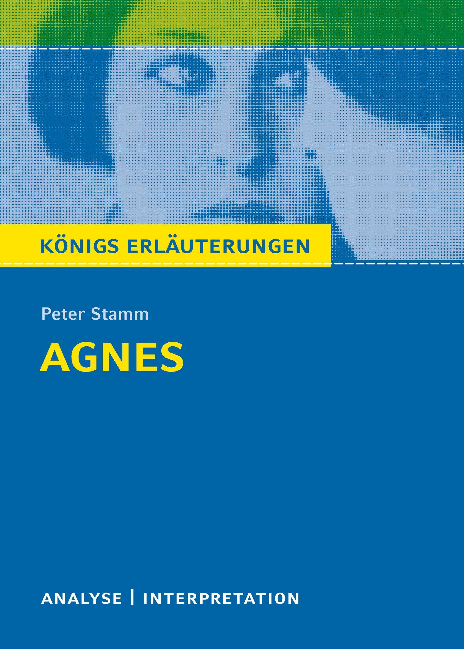 Vorderes Coverbild Agnes. Textanalyse und Interpretation zu Peter Stamm. Agnes