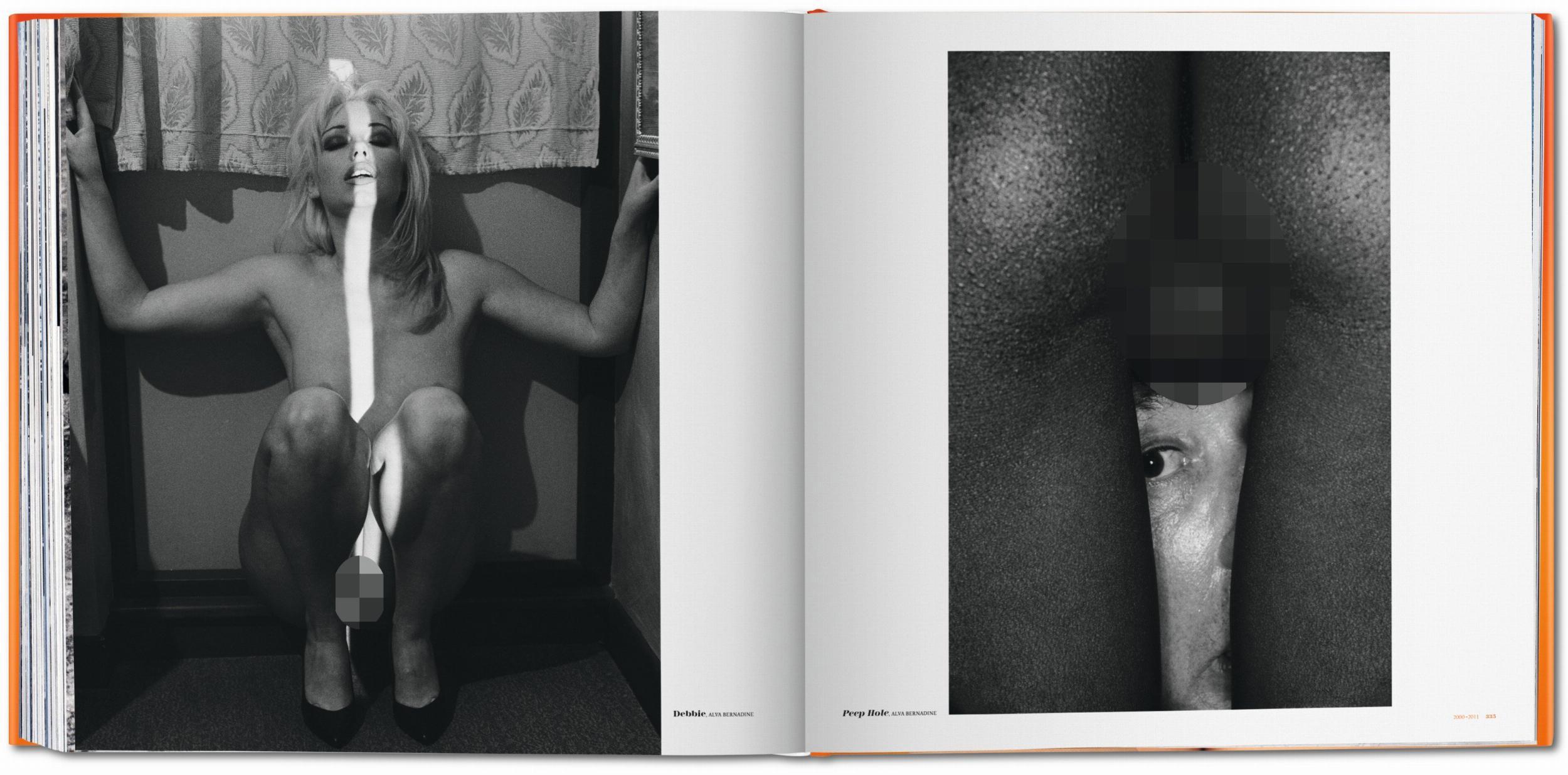 Beispielinhalt (Bild) The Big Book of Pussy