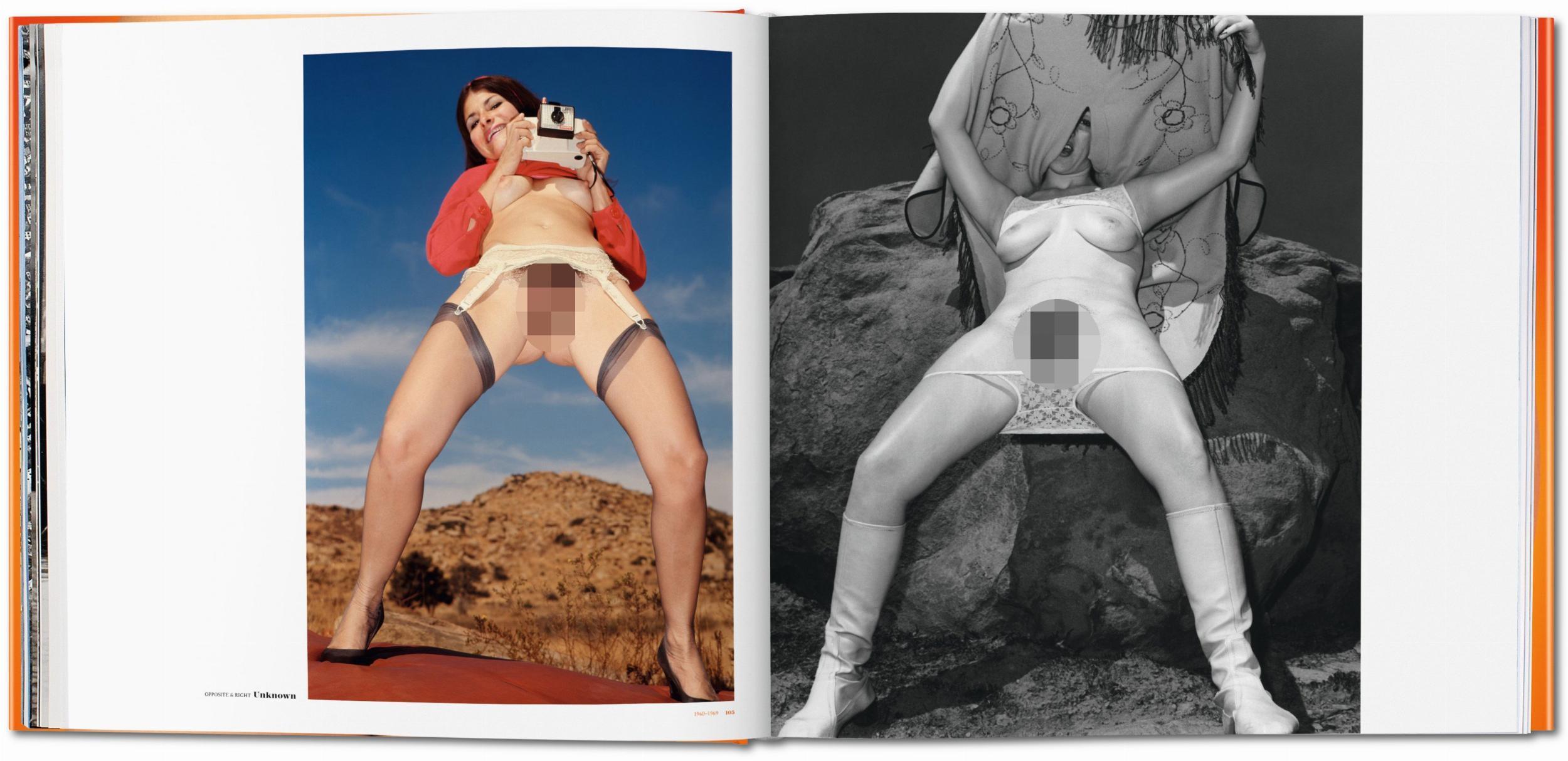 Beispielinhalt (Bild) The Big Book of Pussy