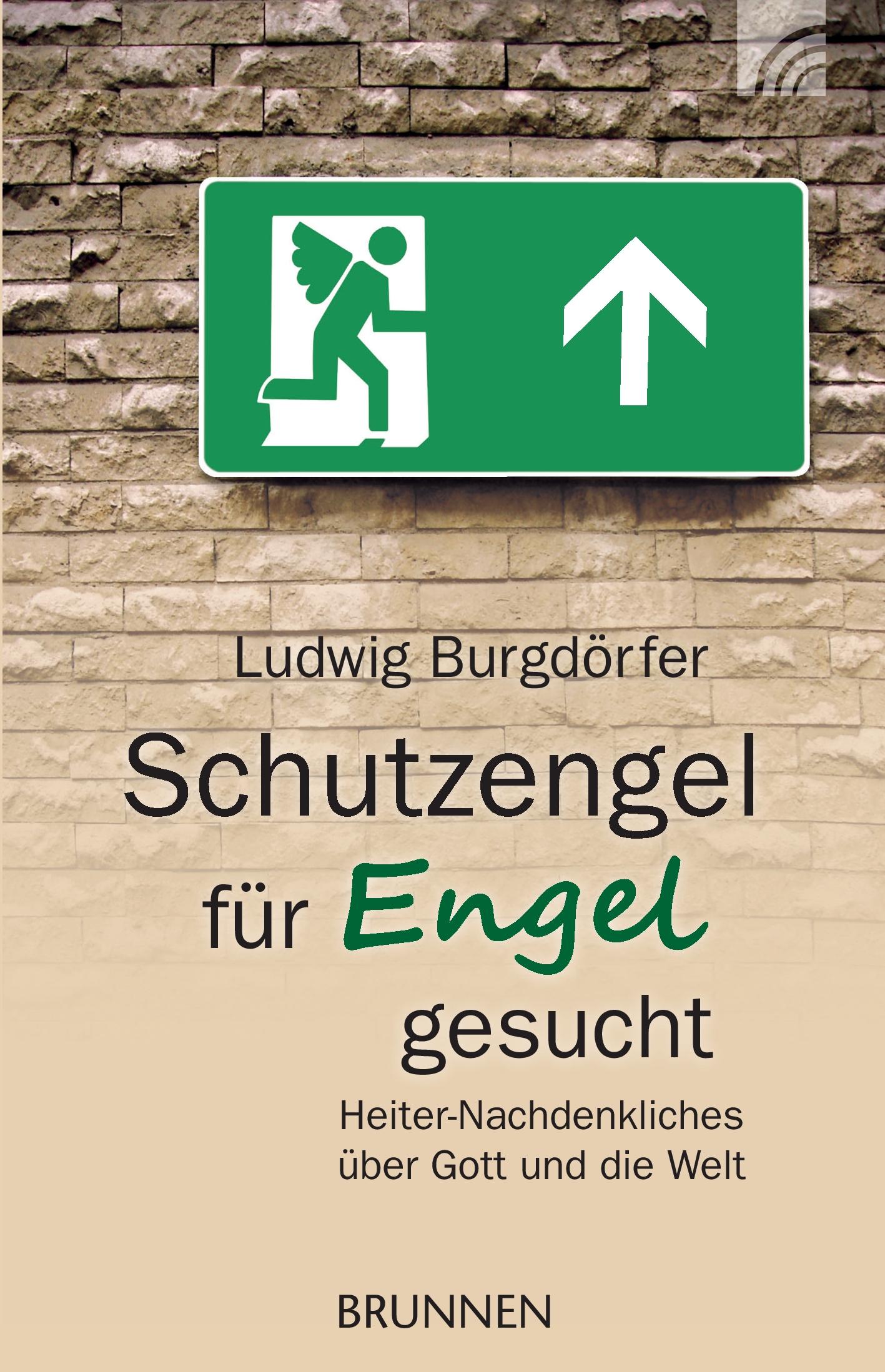 Vorderes Coverbild Schutzengel für Engel gesucht