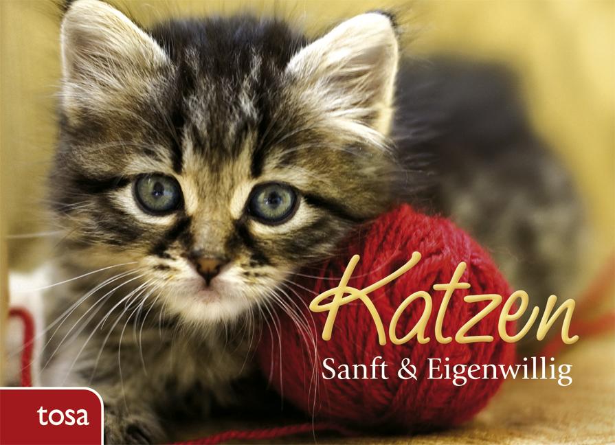 Vorderes Coverbild Katzen