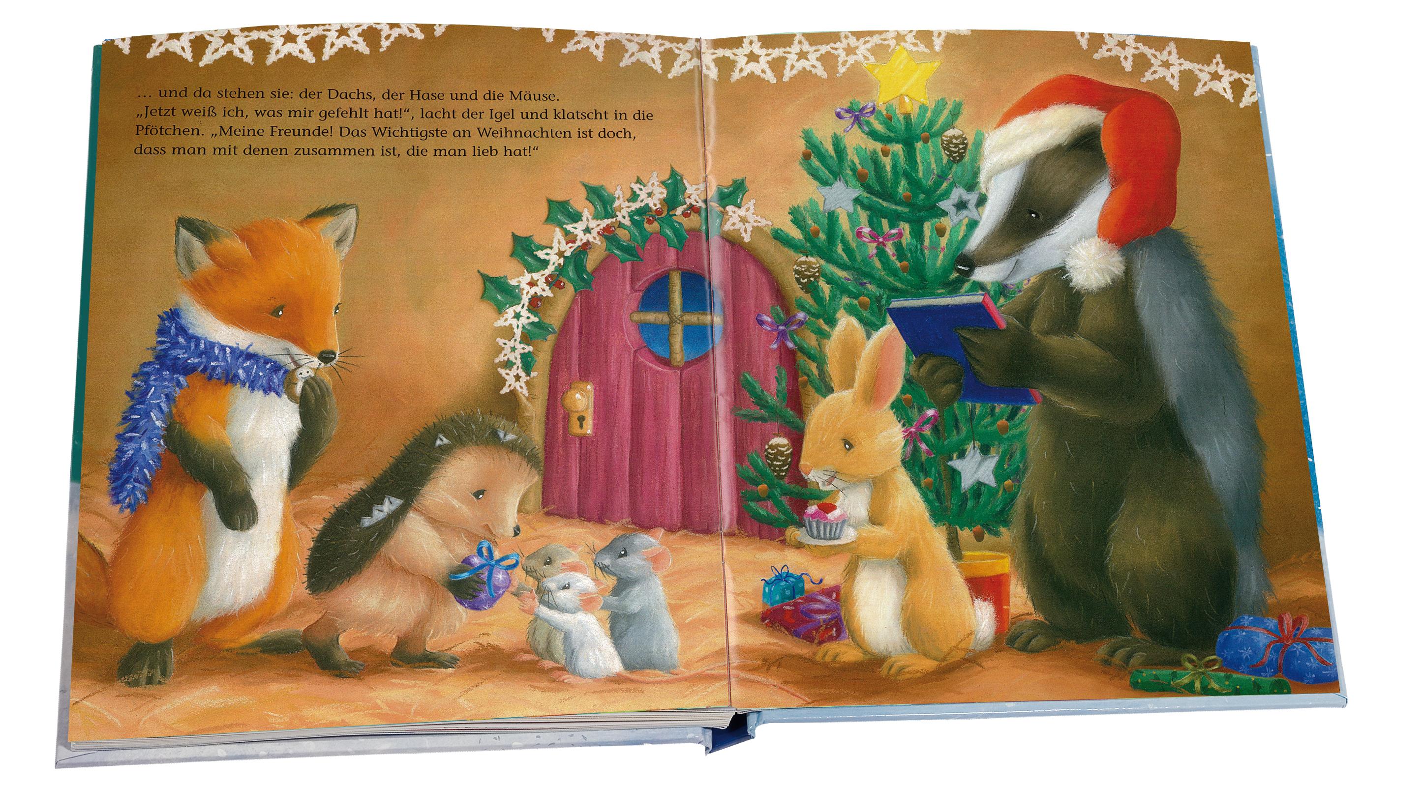 Beispielinhalt (Bild) Der kleine Igel feiert Weihnachten
