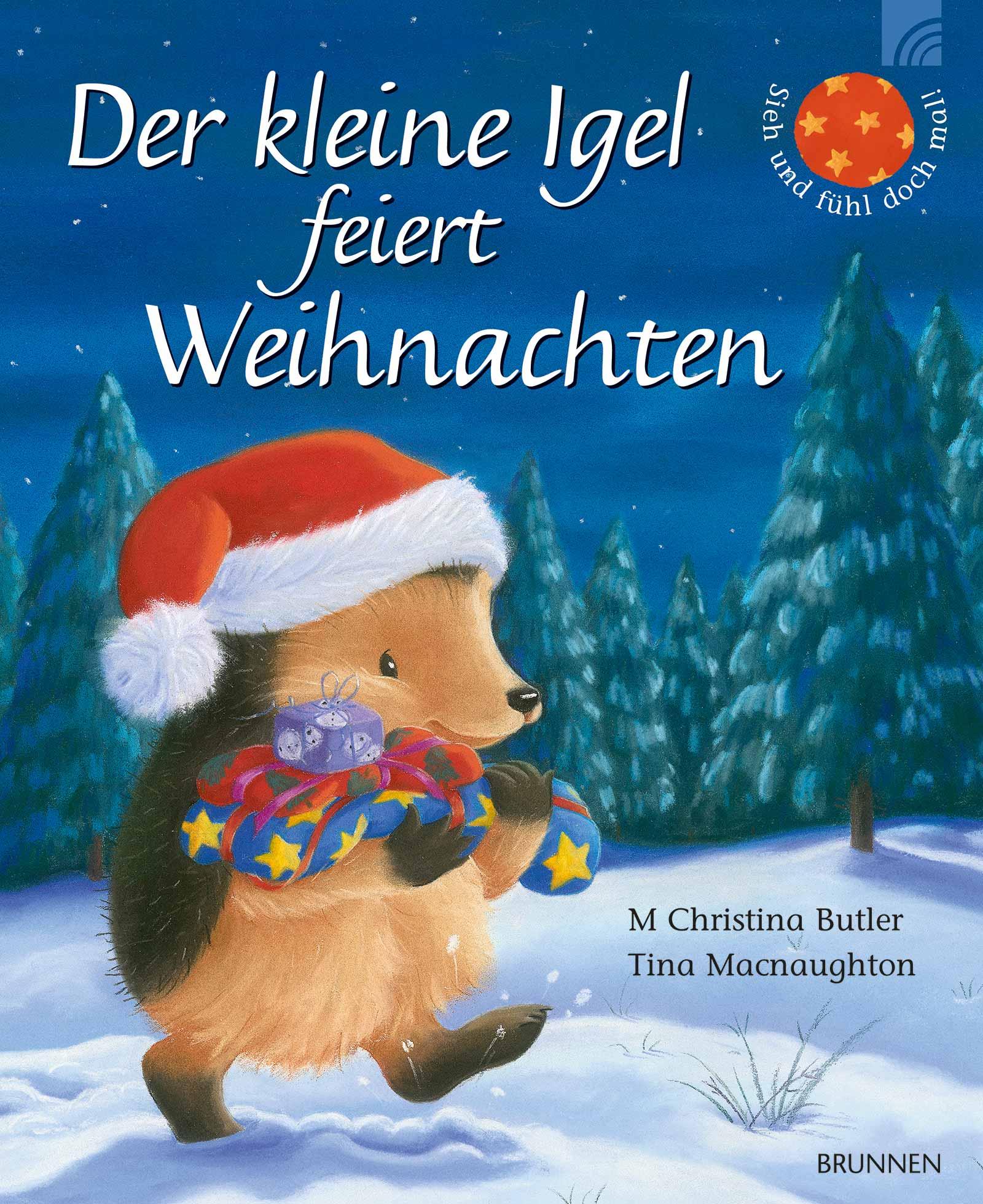 Vorderes Coverbild Der kleine Igel feiert Weihnachten