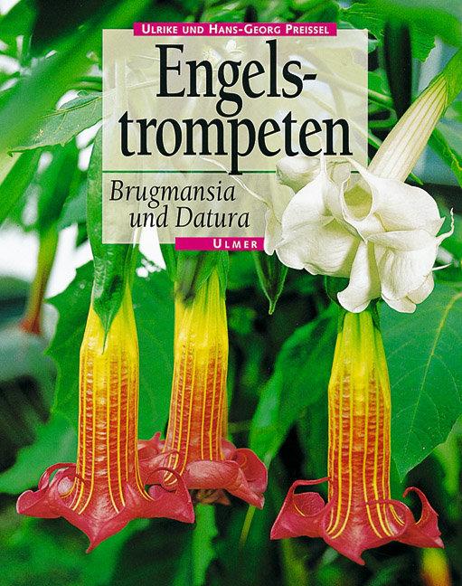 Vorderes Coverbild Engelstrompeten. Brugmansia und Datura