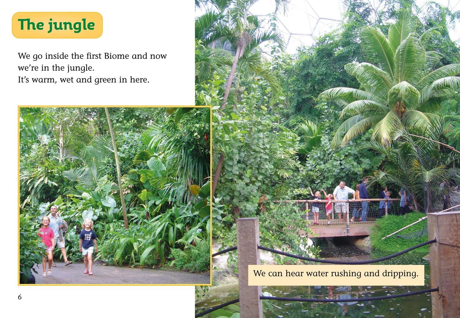 Beispielinhalt (Bild) A Day at the Eden Project