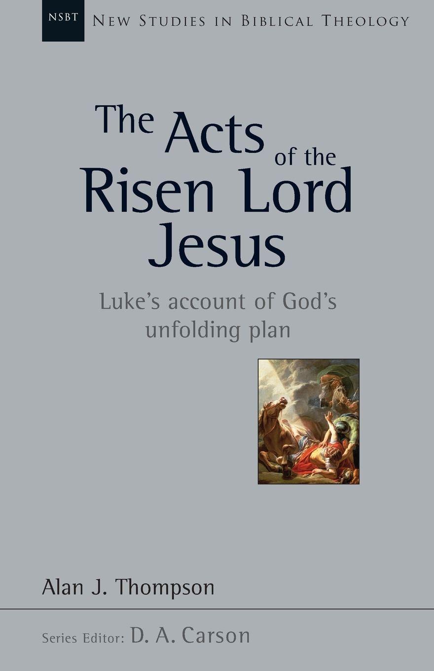 Vorderes Coverbild The Acts of the Risen Lord Jesus