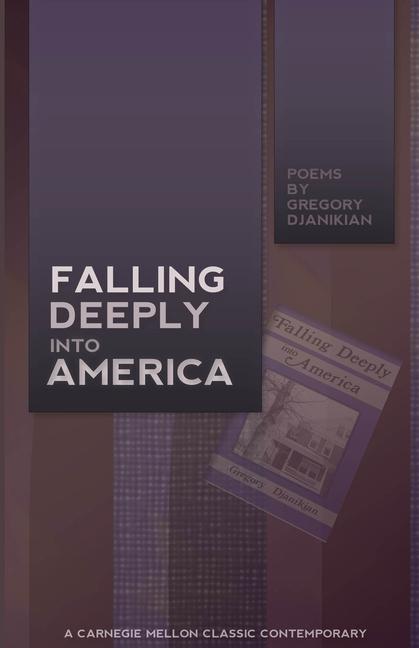Vorderes Coverbild Falling Deeply Into America