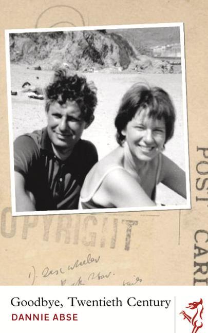 Vorderes Coverbild Goodbye Twentieth Century