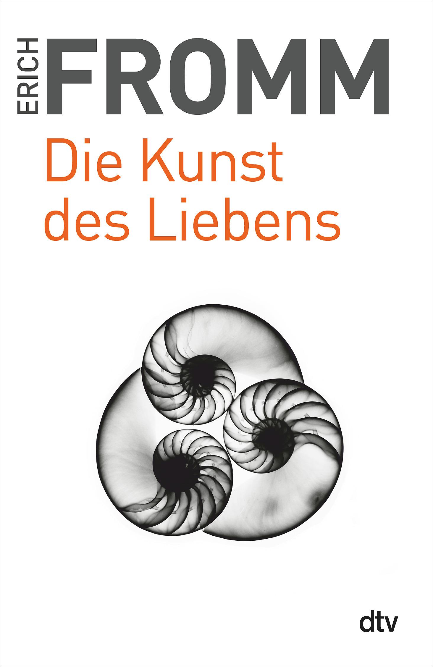 Vorderes Coverbild Die Kunst des Liebens. Großdruck