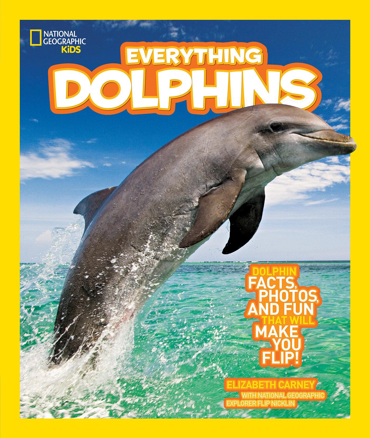 Vorderes Coverbild Everything Dolphins