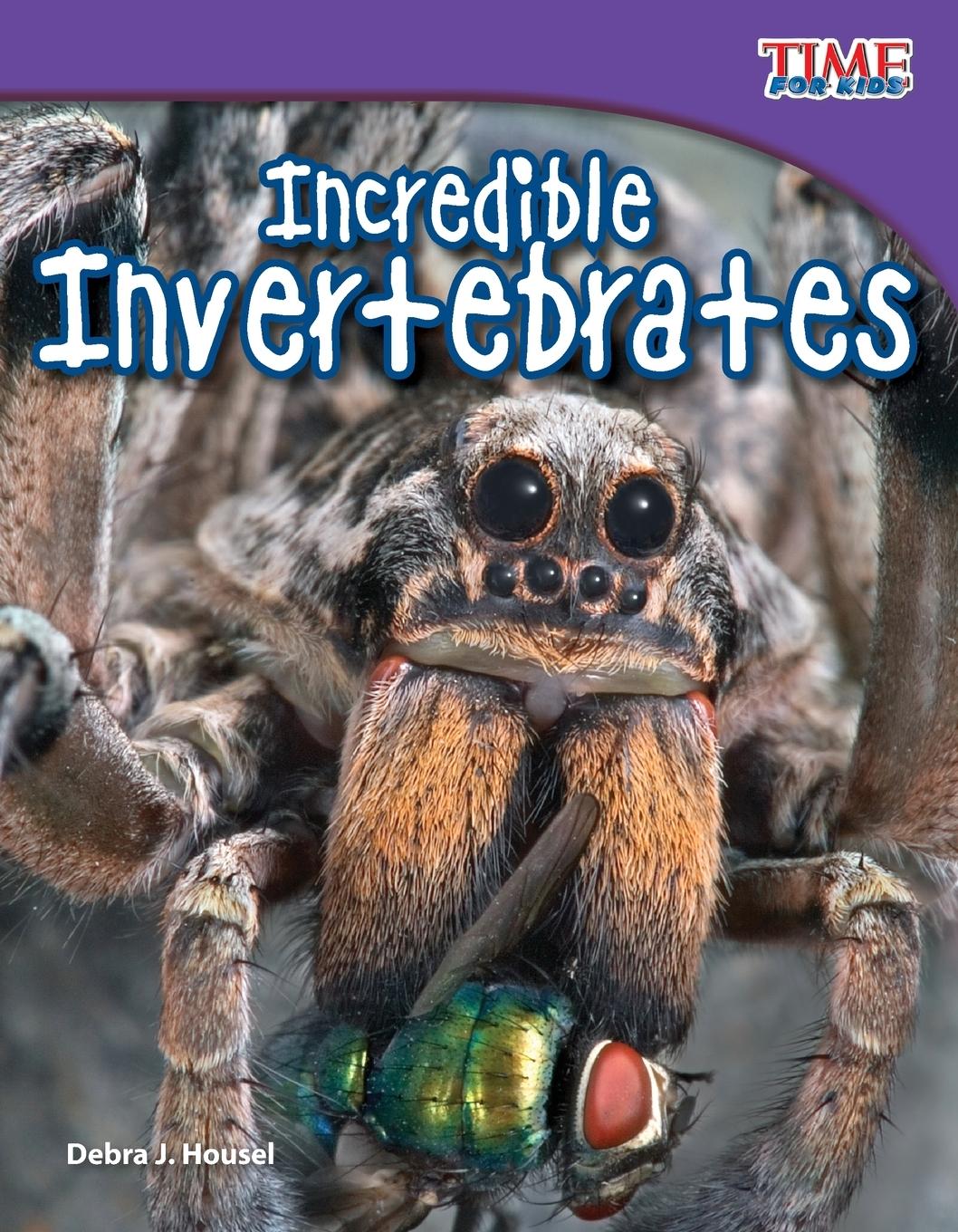 Vorderes Coverbild Incredible Invertebrates