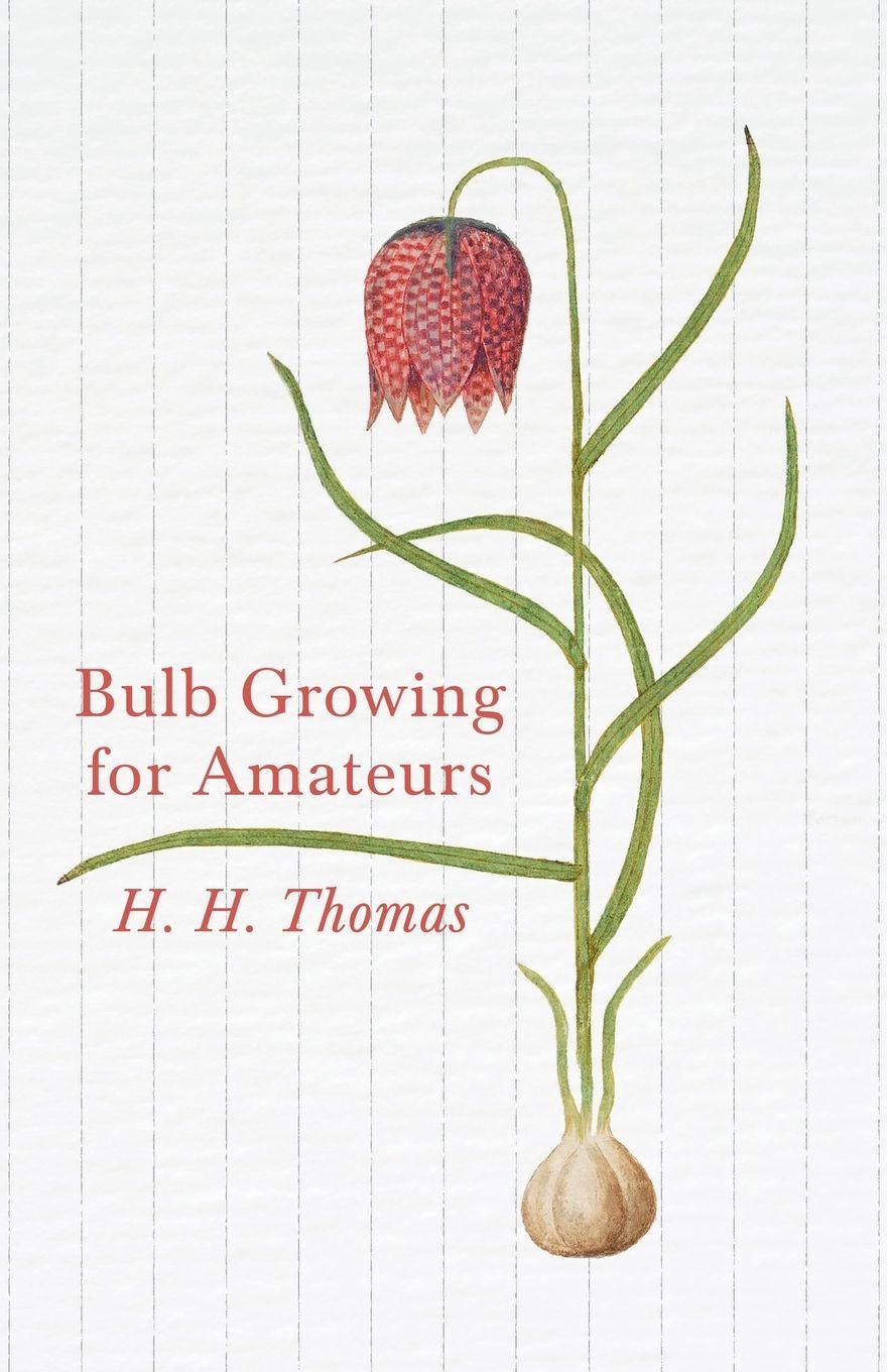 Vorderes Coverbild Bulb Growing for Amateurs