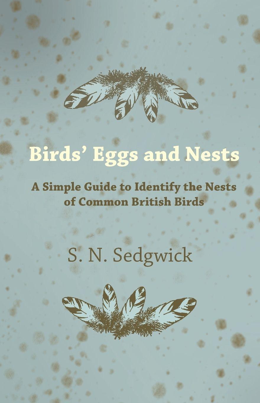 Vorderes Coverbild Birds' Eggs and Nests - A Simple Guide to Identify the Nests of Common British Birds