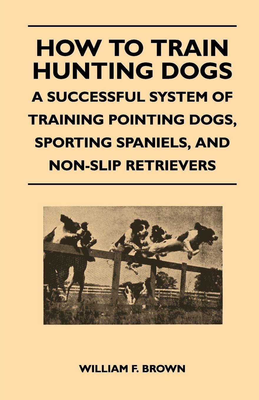Vorderes Coverbild How to Train Hunting Dogs - A Successful System of Training Pointing Dogs, Sporting Spaniels, And Non-Slip Retrievers