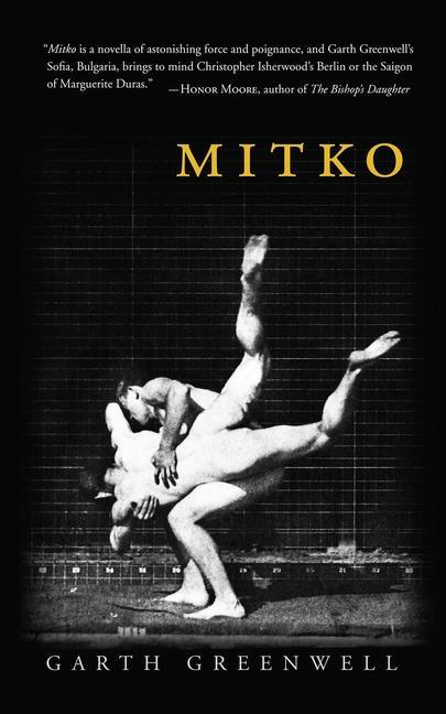 Vorderes Coverbild Mitko (Miami University Press Fiction)