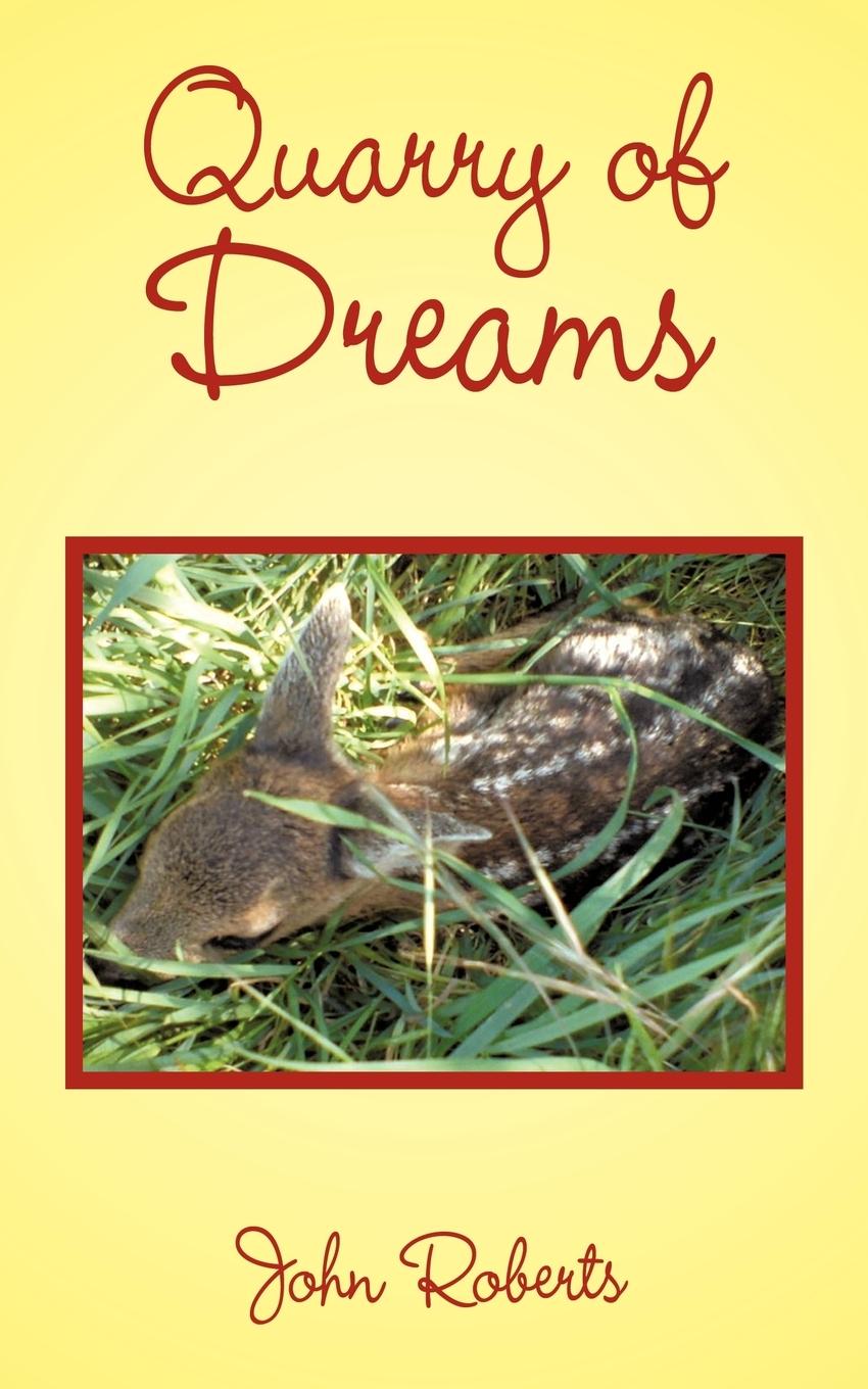 Vorderes Coverbild Quarry of Dreams