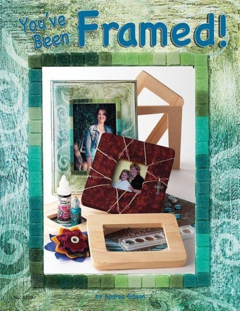 Vorderes Coverbild You've Been Framed