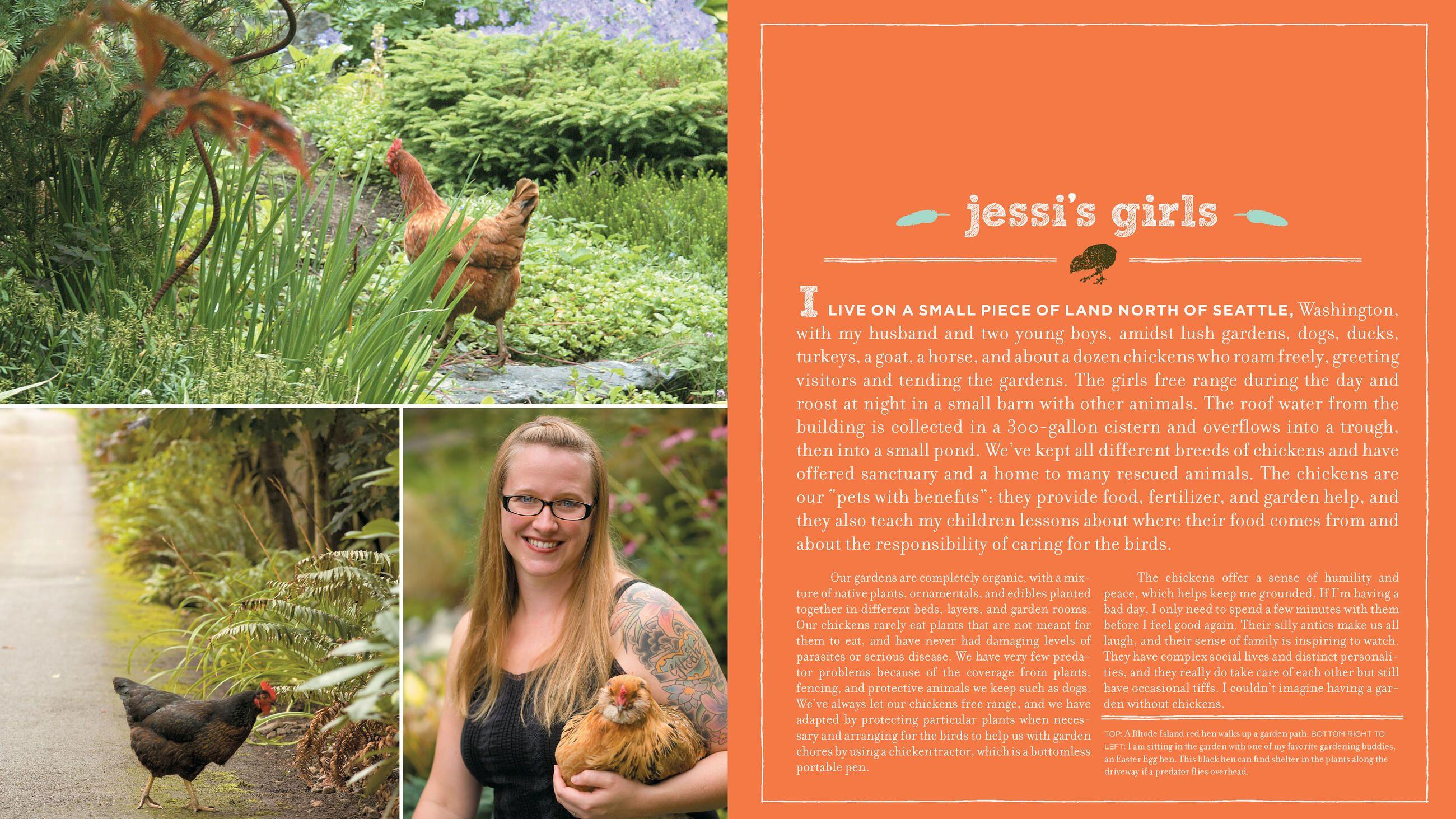 Beispielinhalt (Bild) Free-Range Chicken Gardens