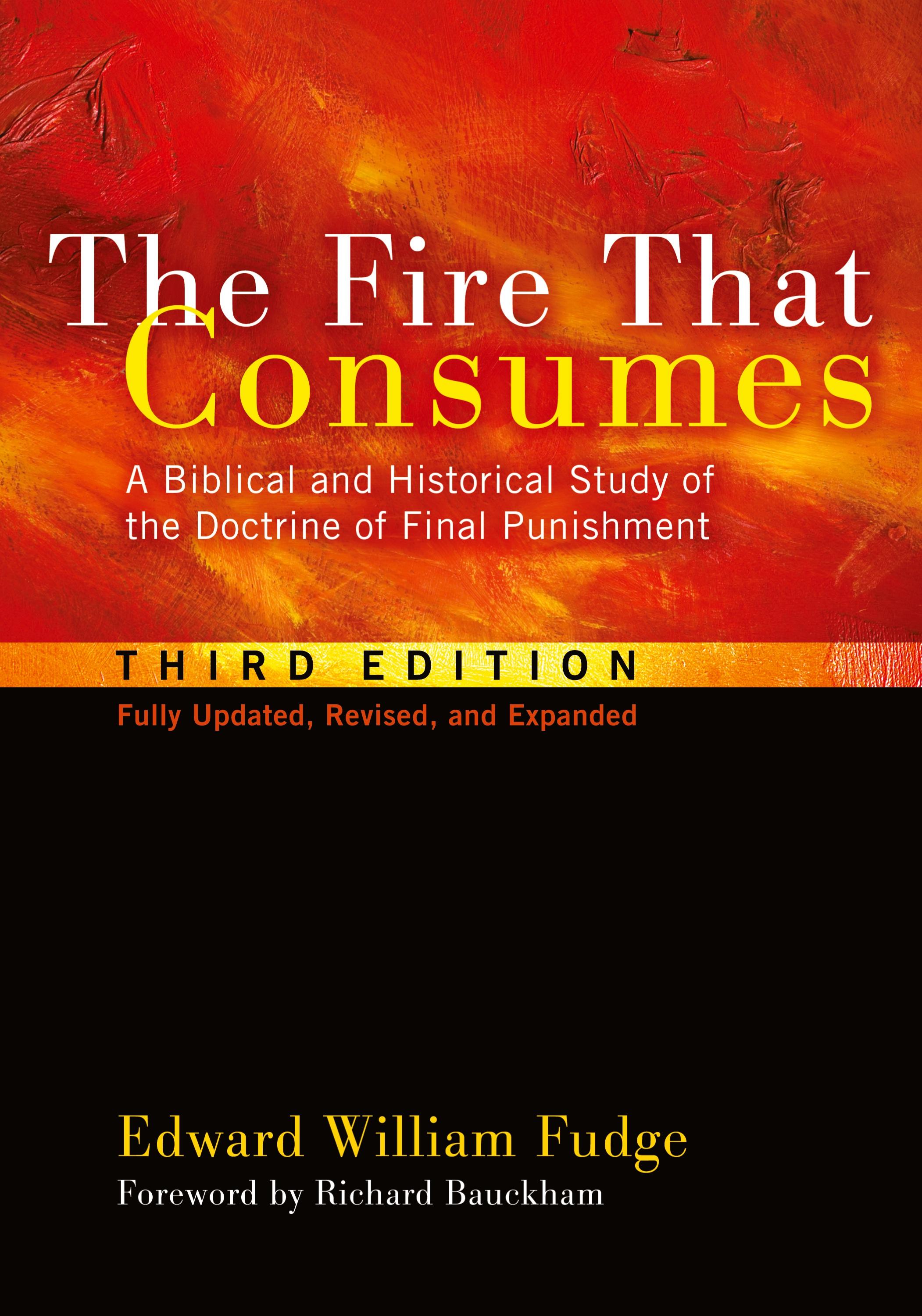 Vorderes Coverbild The Fire That Consumes