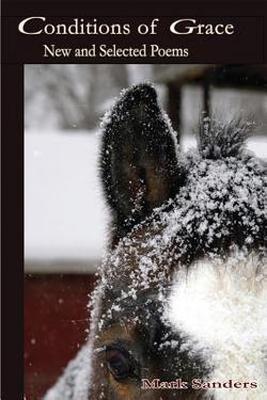 Vorderes Coverbild Conditions of Grace: New and Selected Poems